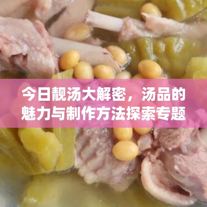 今日靓汤大解密，汤品的魅力与制作方法探索专题