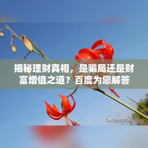 揭秘理财真相，是骗局还是财富增值之道？百度为您解答