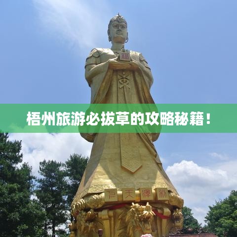 梧州旅游必拔草的攻略秘籍！