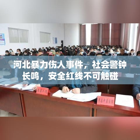 河北暴力伤人事件，社会警钟长鸣，安全红线不可触碰