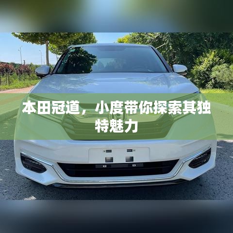 本田冠道，小度带你探索其独特魅力