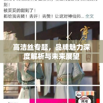 高洁丝专题，品牌魅力深度解析与未来展望
