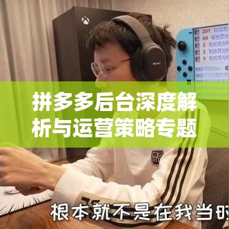 拼多多后台深度解析与运营策略专题探讨