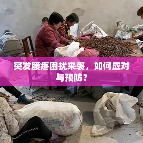 突发腰疼困扰来袭，如何应对与预防？