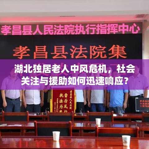 湖北独居老人中风危机，社会关注与援助如何迅速响应？