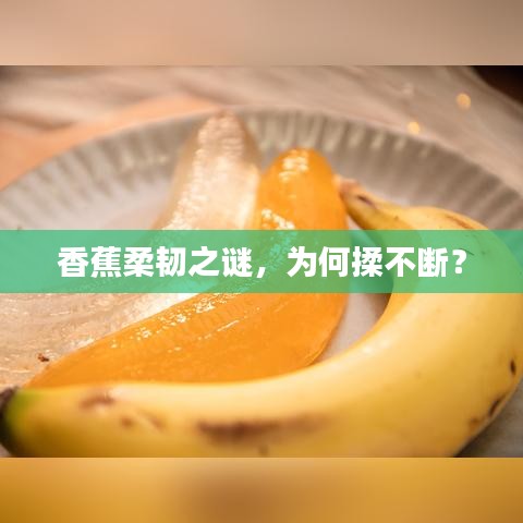 香蕉柔韧之谜，为何揉不断？