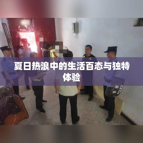 夏日热浪中的生活百态与独特体验