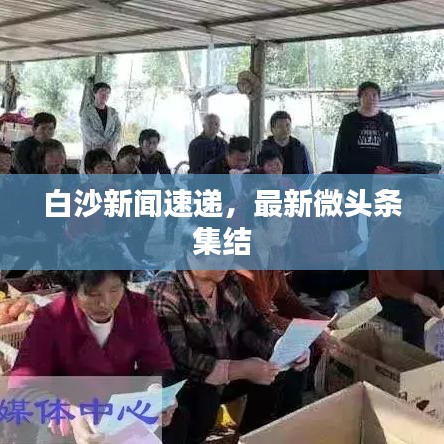 白沙新闻速递，最新微头条集结