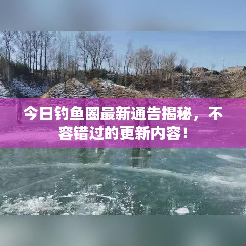 今日钓鱼圈最新通告揭秘，不容错过的更新内容！