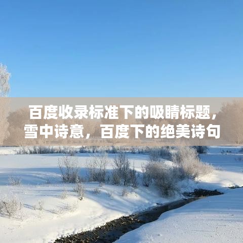 百度收录标准下的吸睛标题，雪中诗意，百度下的绝美诗句描绘雪景
