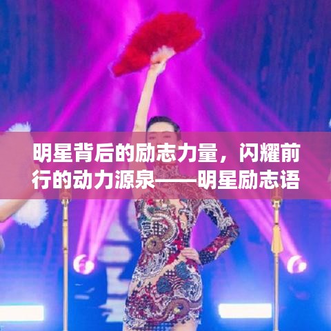 明星背后的励志力量，闪耀前行的动力源泉——明星励志语录解析