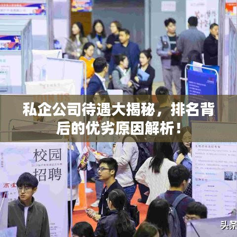 私企公司待遇大揭秘，排名背后的优劣原因解析！