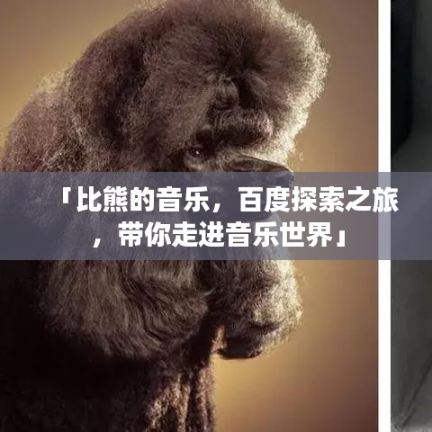 「比熊的音乐，百度探索之旅，带你走进音乐世界」
