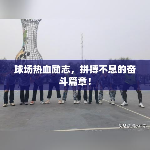 球场热血励志，拼搏不息的奋斗篇章！