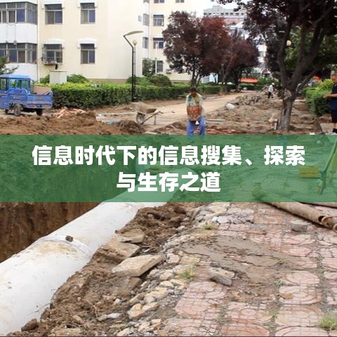 信息时代下的信息搜集、探索与生存之道