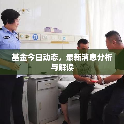 基金今日动态，最新消息分析与解读