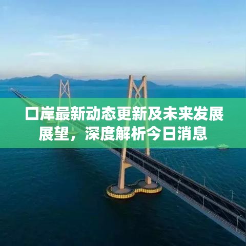 口岸最新动态更新及未来发展展望，深度解析今日消息