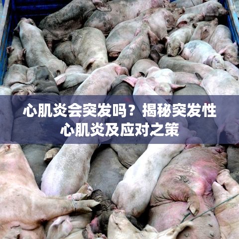 心肌炎会突发吗？揭秘突发性心肌炎及应对之策