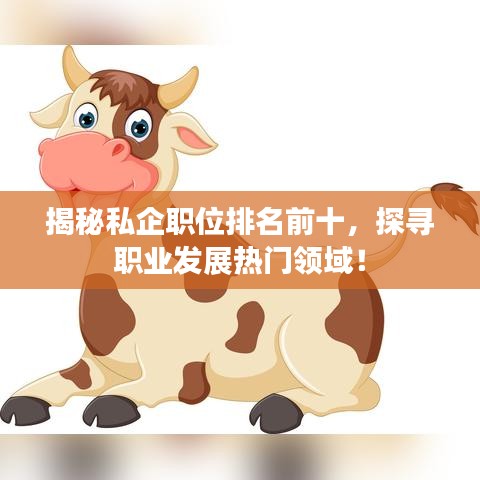 揭秘私企职位排名前十，探寻职业发展热门领域！