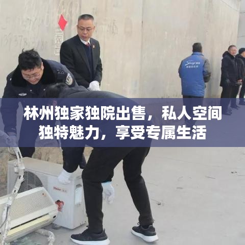 林州独家独院出售，私人空间独特魅力，享受专属生活