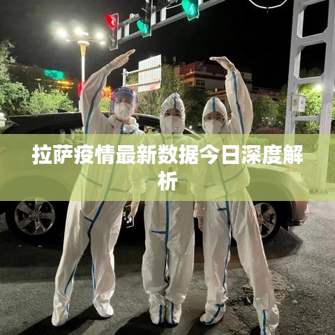 拉萨疫情最新数据今日深度解析