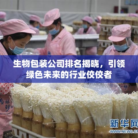 生物包装公司排名揭晓，引领绿色未来的行业佼佼者