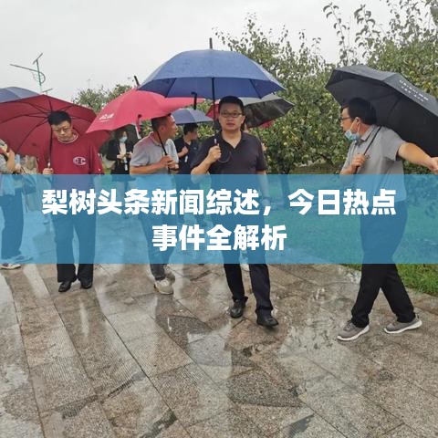 梨树头条新闻综述，今日热点事件全解析