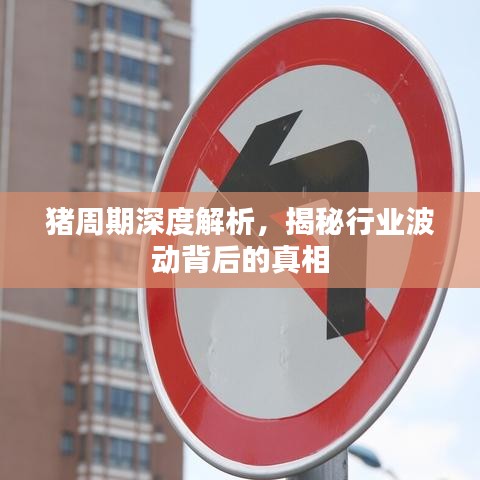 猪周期深度解析，揭秘行业波动背后的真相
