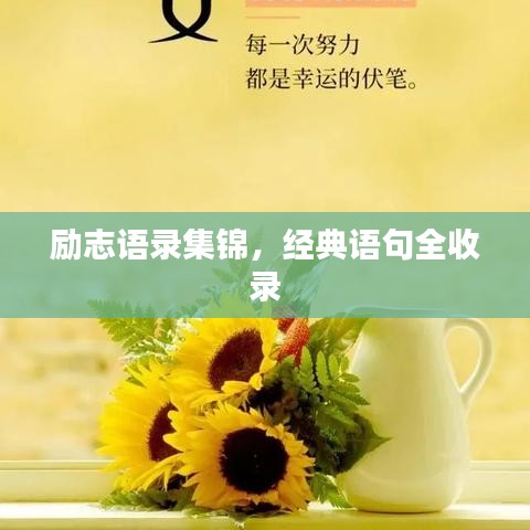 励志语录集锦，经典语句全收录