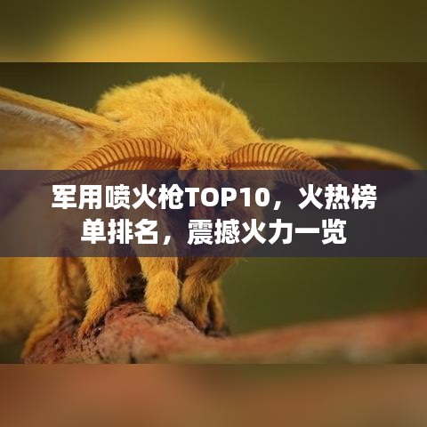 军用喷火枪TOP10，火热榜单排名，震撼火力一览