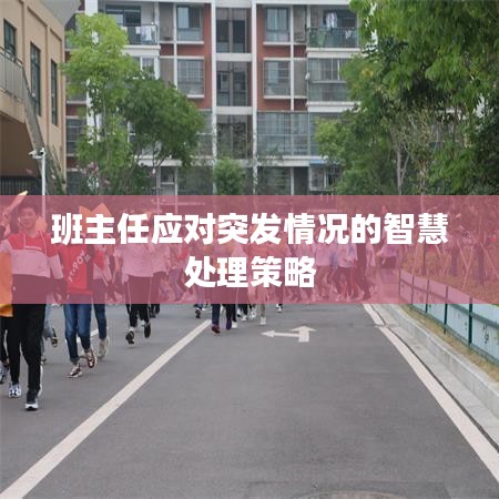班主任应对突发情况的智慧处理策略