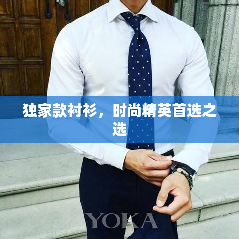 独家款衬衫，时尚精英首选之选