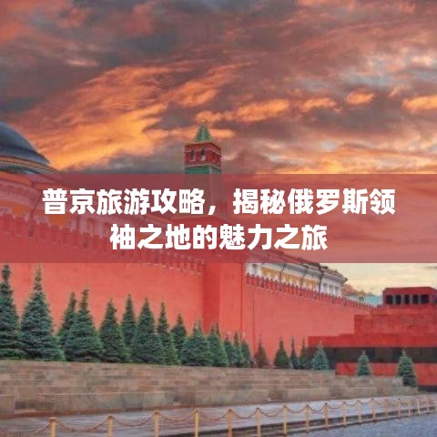 普京旅游攻略，揭秘俄罗斯领袖之地的魅力之旅