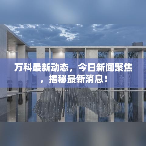 万科最新动态，今日新闻聚焦，揭秘最新消息！