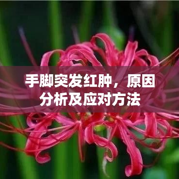 手脚突发红肿，原因分析及应对方法