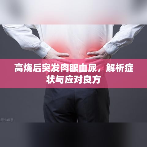 高烧后突发肉眼血尿，解析症状与应对良方