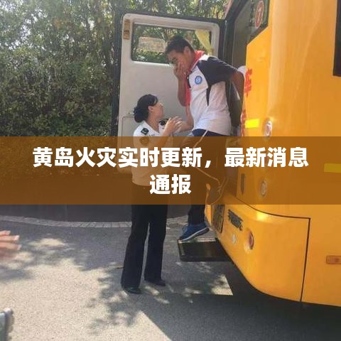 黄岛火灾实时更新，最新消息通报