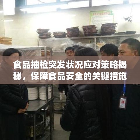 食品抽检突发状况应对策略揭秘，保障食品安全的关键措施