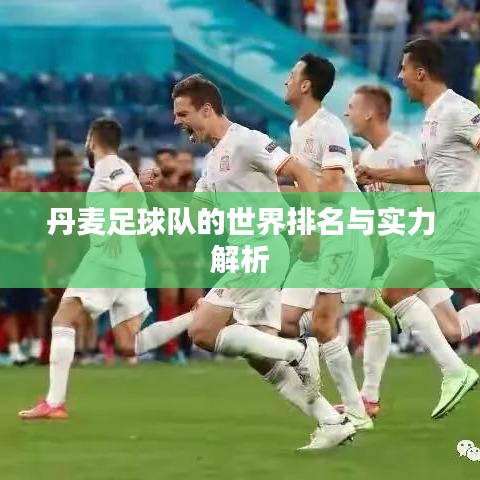 丹麦足球队的世界排名与实力解析