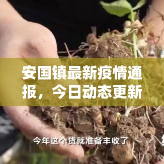 安国镇最新疫情通报，今日动态更新