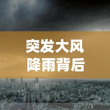 突发大风降雨背后的威力与应对策略，自然界的挑战与人类的智慧应对