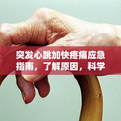 突发心跳加快疼痛应急指南，了解原因，科学应对！