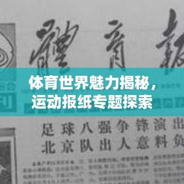 体育世界魅力揭秘，运动报纸专题探索