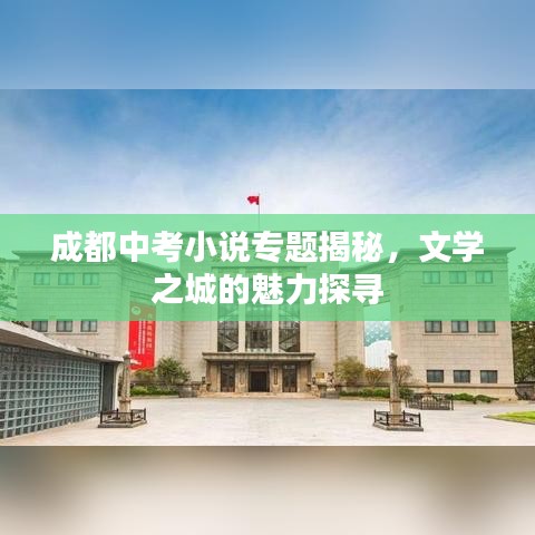成都中考小说专题揭秘，文学之城的魅力探寻