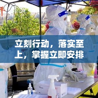 立刻行动，落实至上，掌握立即安排的重要性及其实际应用策略