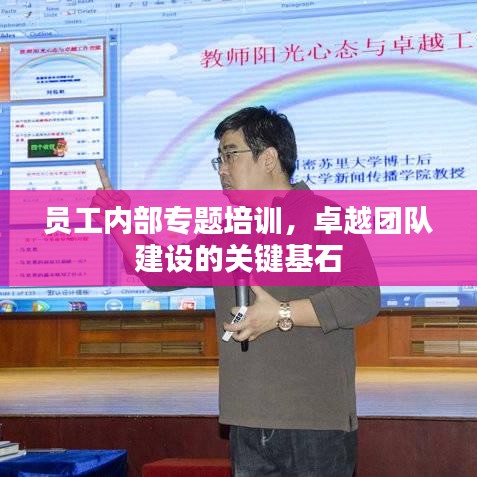 员工内部专题培训，卓越团队建设的关键基石