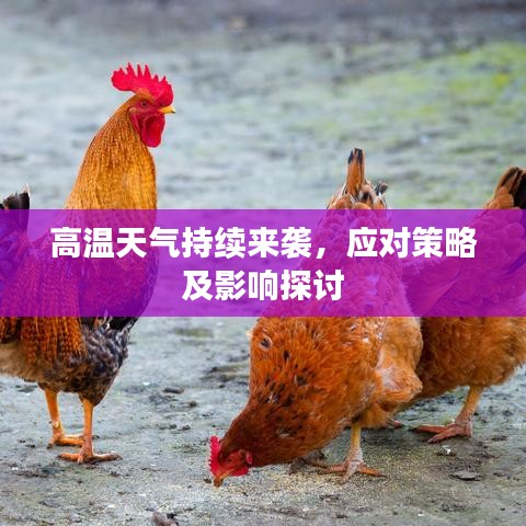 高温天气持续来袭，应对策略及影响探讨