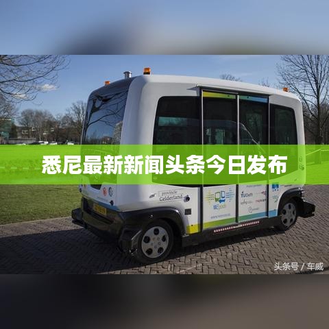悉尼最新新闻头条今日发布