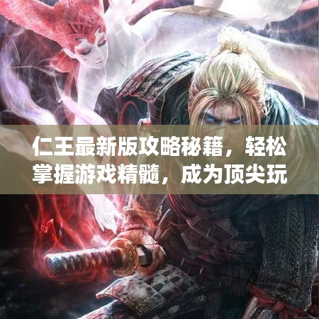 仁王最新版攻略秘籍，轻松掌握游戏精髓，成为顶尖玩家之路