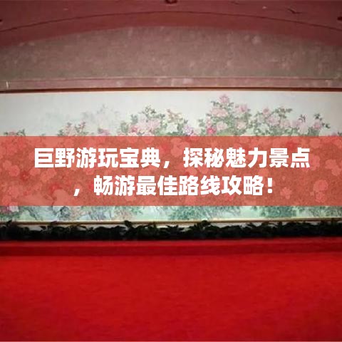 巨野游玩宝典，探秘魅力景点，畅游最佳路线攻略！